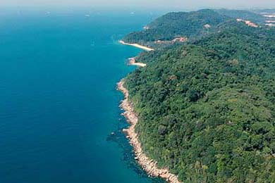 乒超联赛火热开战 多位国手同台竞技，乒超联赛赛程